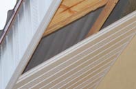 rated Nether Hall soffit repair companies